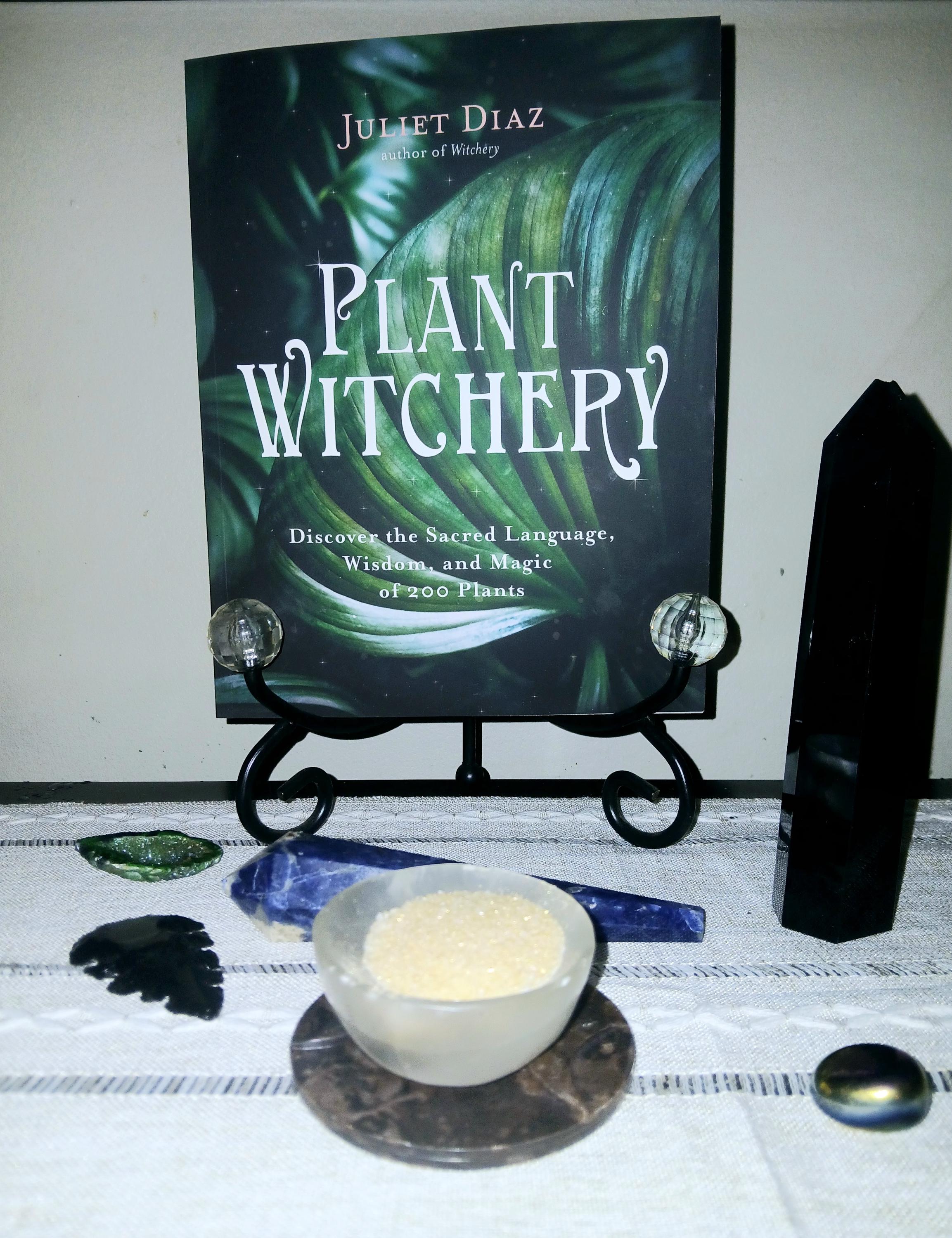 Witchcraft Books: Herbal Grimoire, Plant Witchery, Magickal Herbs